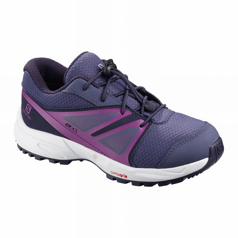 SALOMON SENSE CLIMASALOMON™ WATERPROOF Philippines - Kids' Running Shoes - Blue | 731562-QVI